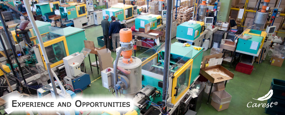 Experience and opportunities Carest Mold production center